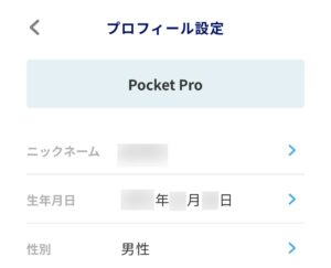 Pocket Proの表示が