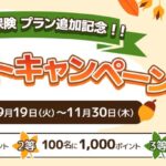 三井住友カード、選べる無料保険のプラン追加記念アンケートキャンペーンを実施