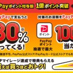 Yahoo! JAPAN、LYPマイレージの対象商品購入で最大30％のPayPayポイントが戻ってくるキャンペーンを実施